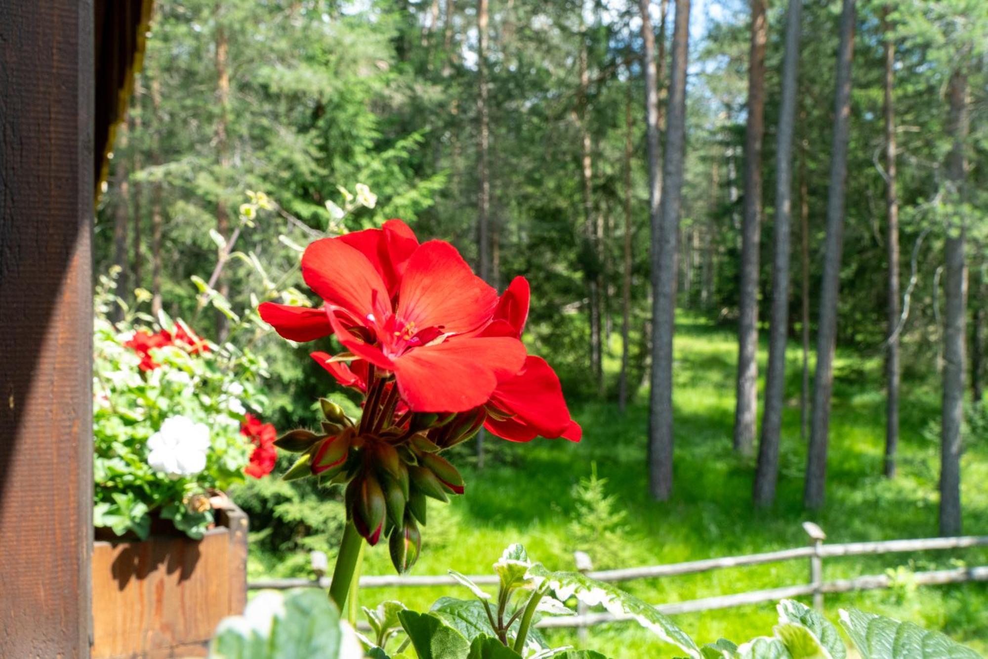 La Bercia Bed & Breakfast