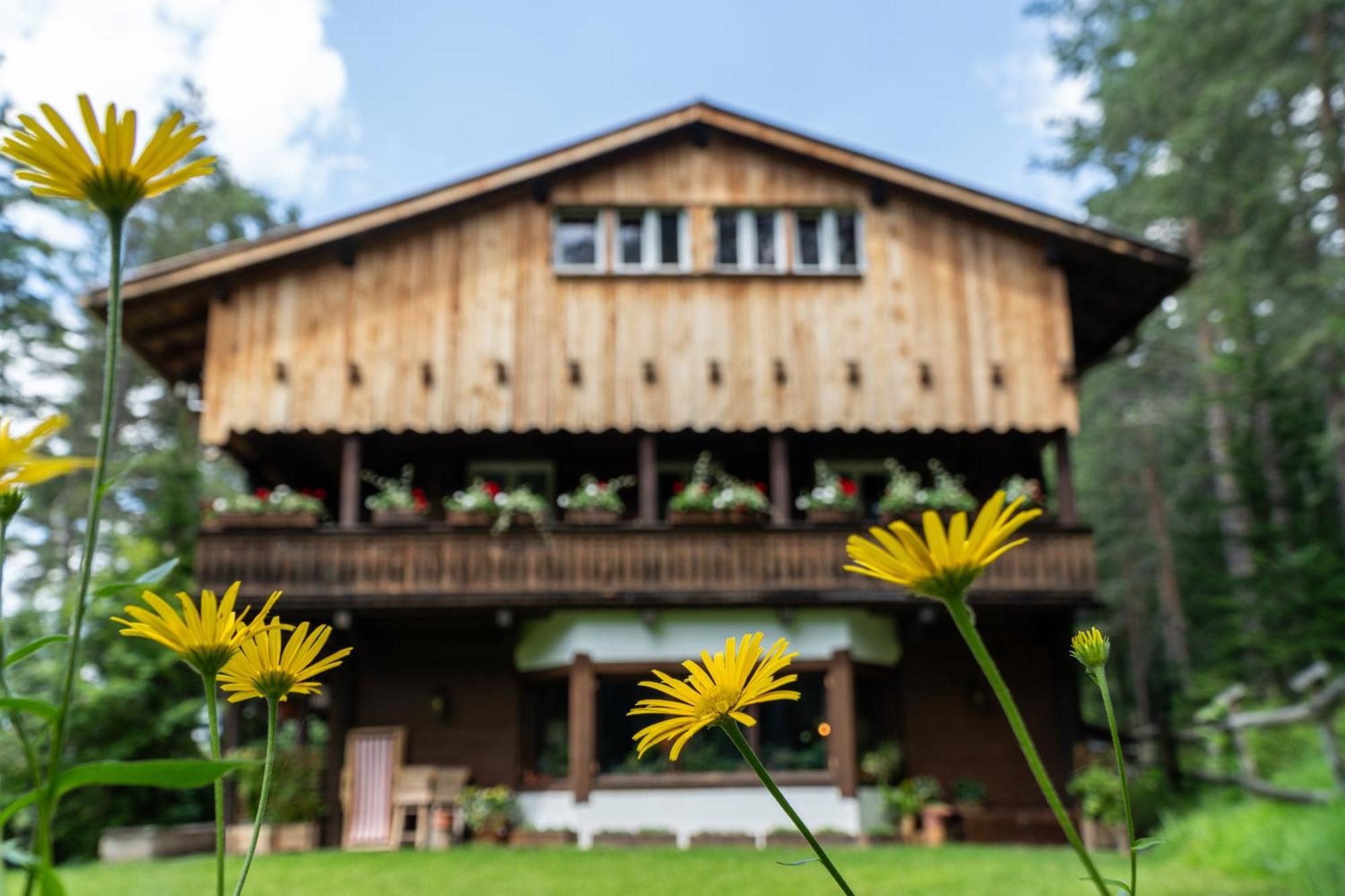 Bed & Breakfast La Bercia